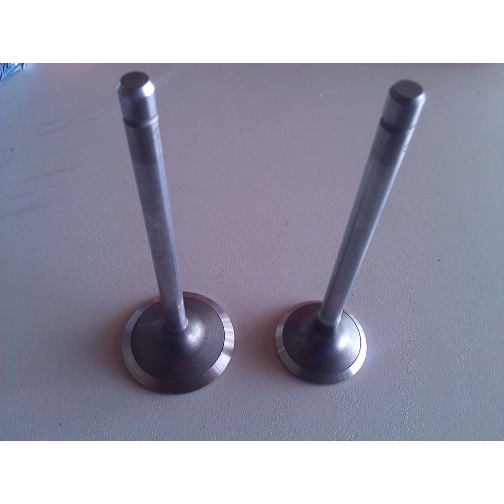 EKSOZ SUBABI TDSERİ EM STD