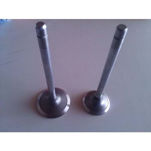 EKSOZ SUBABI TDSERİ EM STD