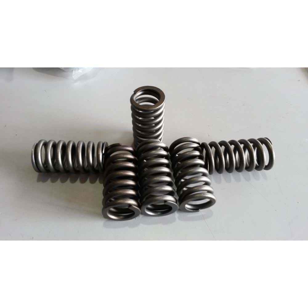 DEBRİYAJ BASKI YAYI 480
